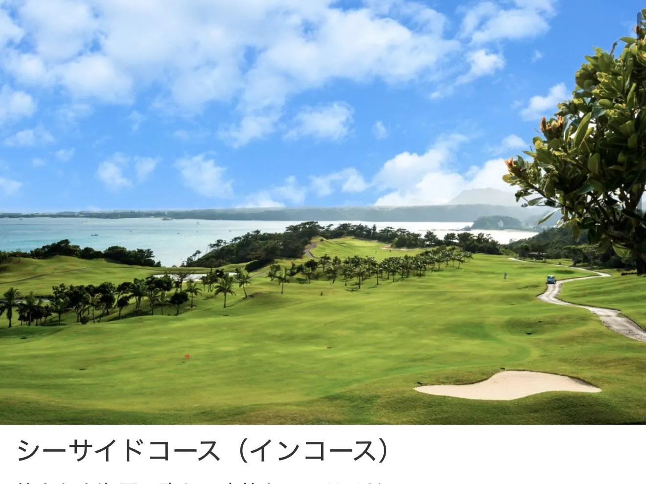 インドアゴルフ