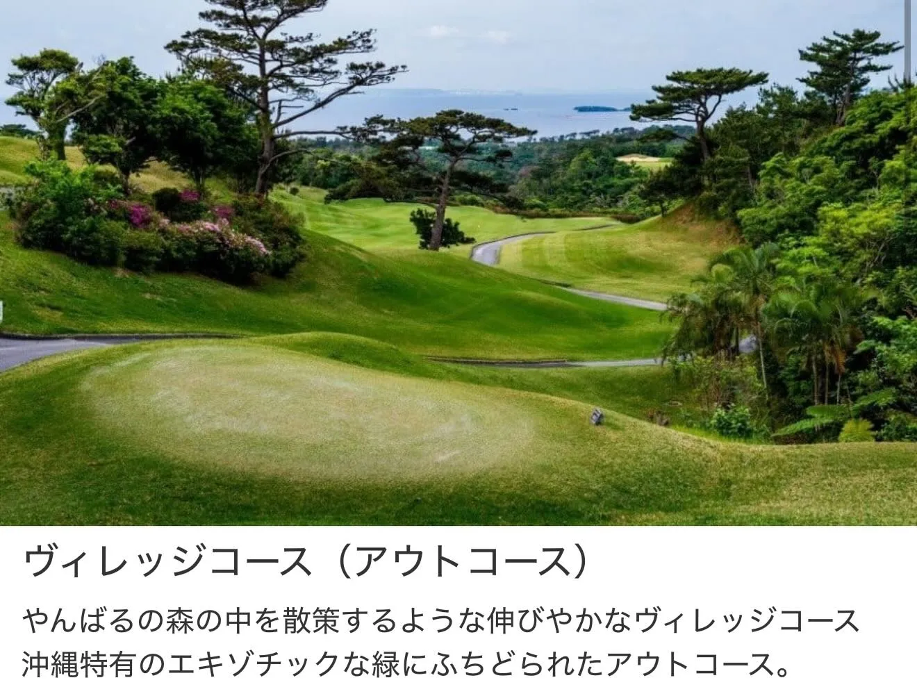 インドアゴルフ